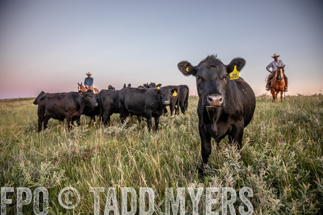 PP_TuckerRanch_NE_July2019-42906