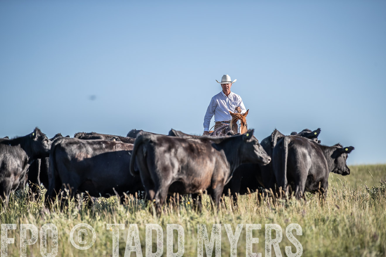 PP_TuckerRanch_NE_July2019-7265