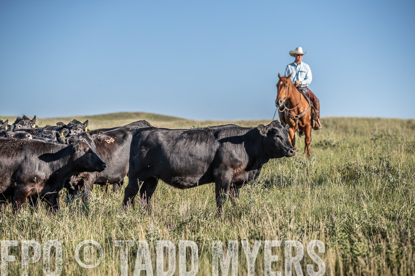 PP_TuckerRanch_NE_July2019-7272
