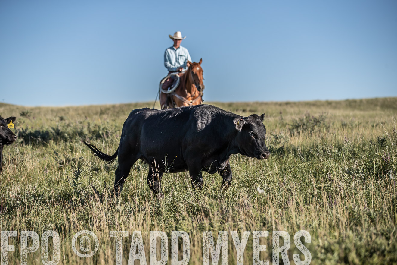 PP_TuckerRanch_NE_July2019-7278