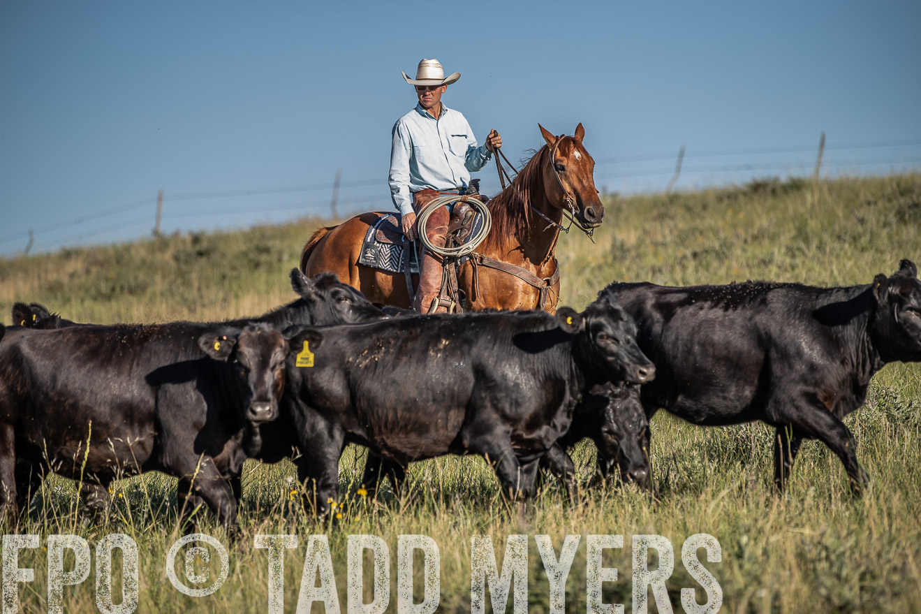 PP_TuckerRanch_NE_July2019-7300