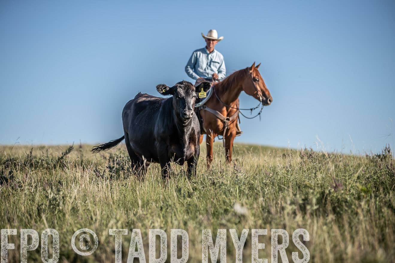 PP_TuckerRanch_NE_July2019-7326
