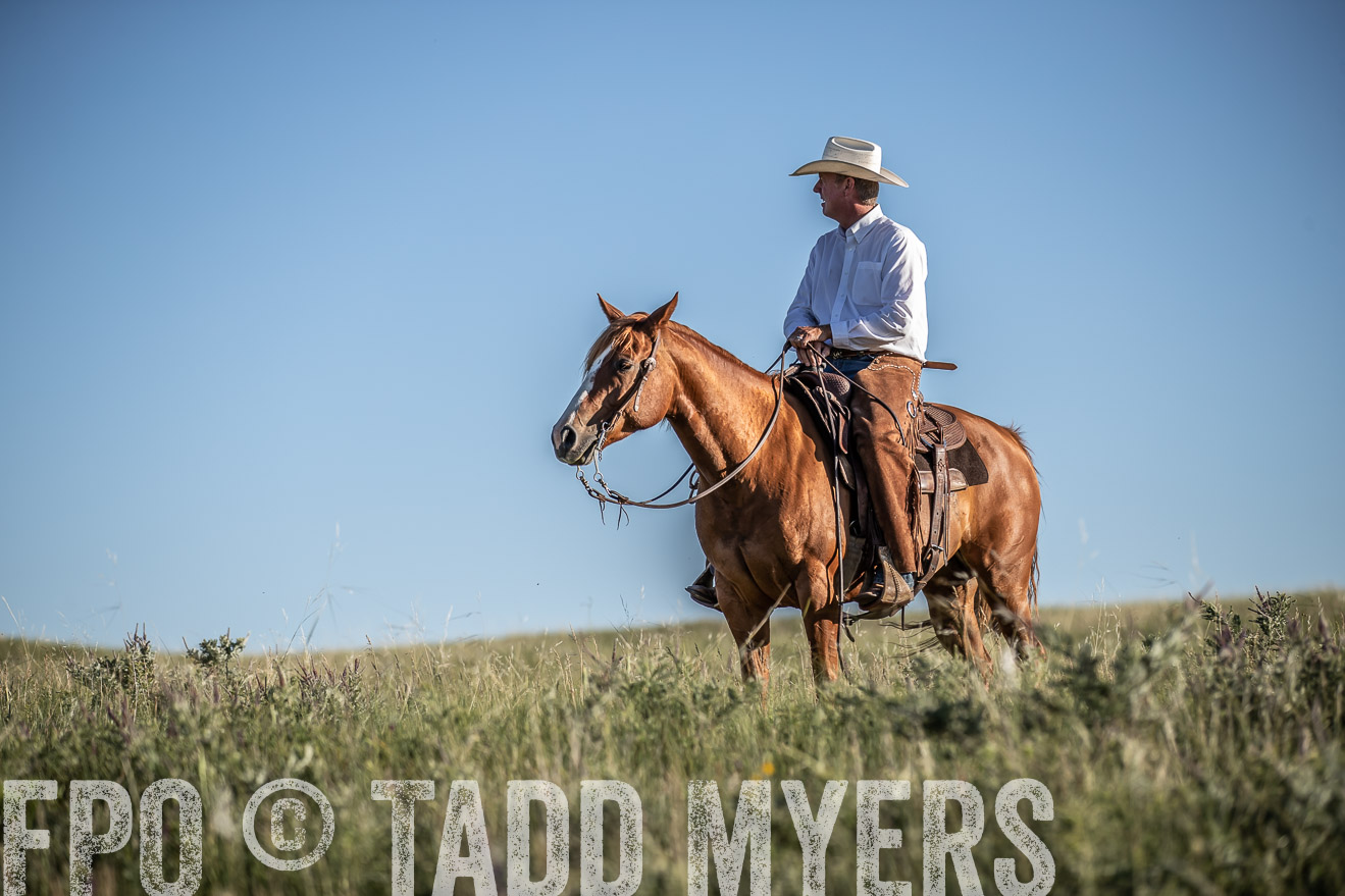 PP_TuckerRanch_NE_July2019-7329