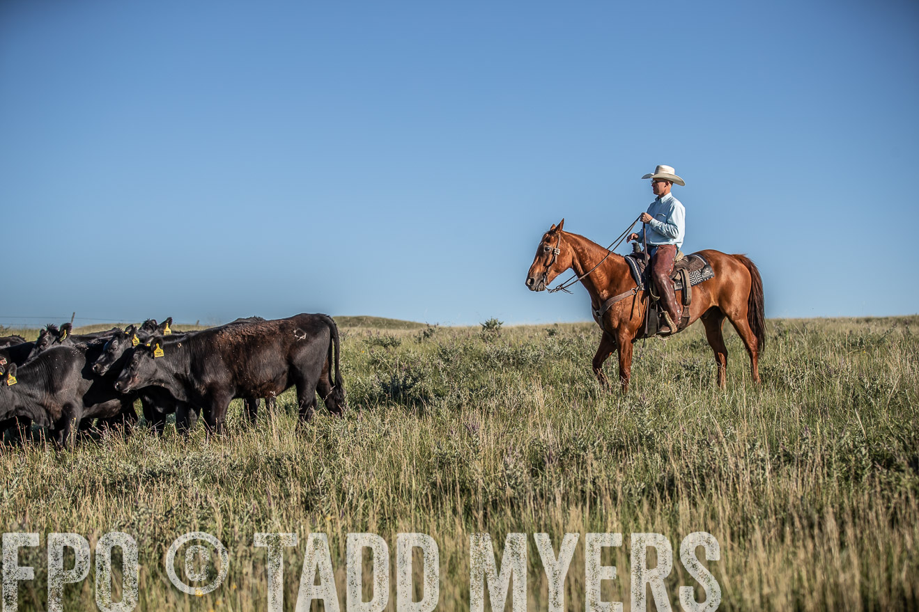 PP_TuckerRanch_NE_July2019-7359