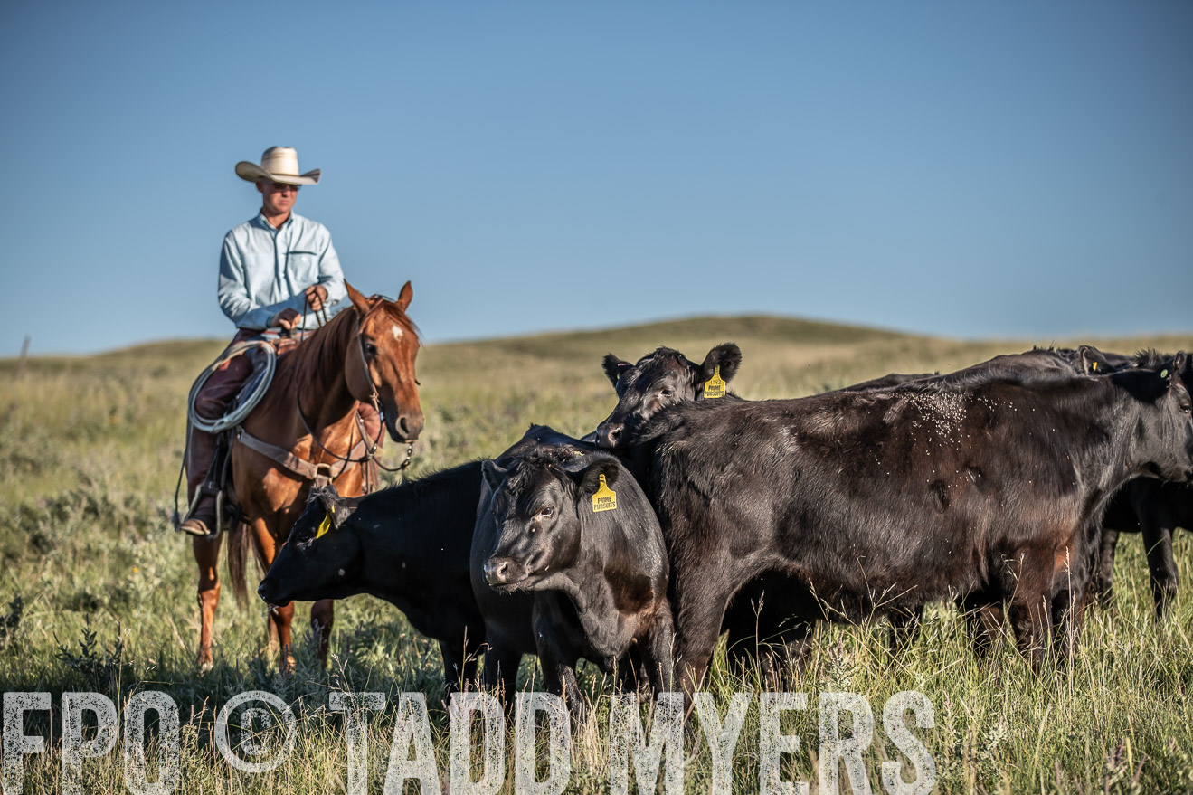 PP_TuckerRanch_NE_July2019-7380
