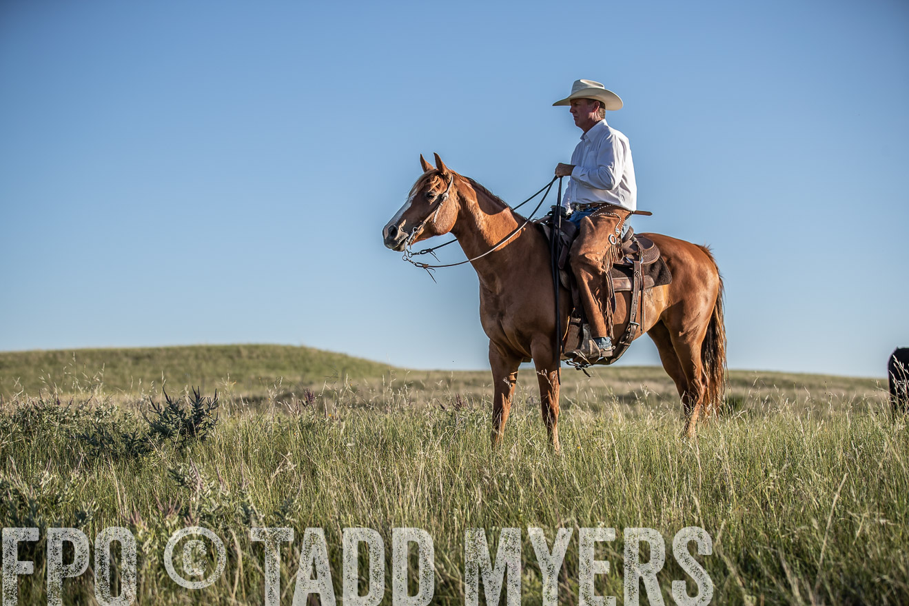 PP_TuckerRanch_NE_July2019-7381