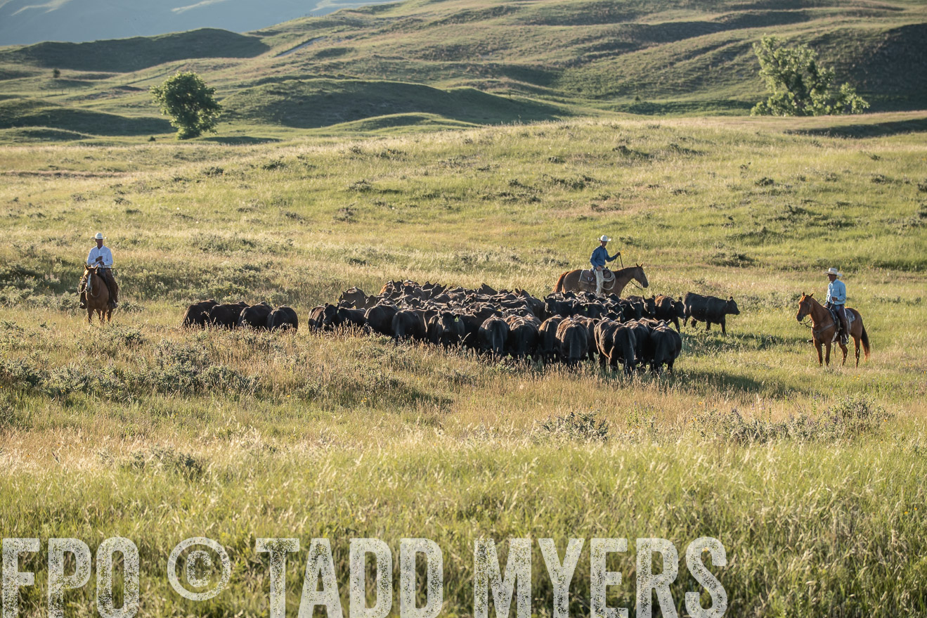 PP_TuckerRanch_NE_July2019-7404