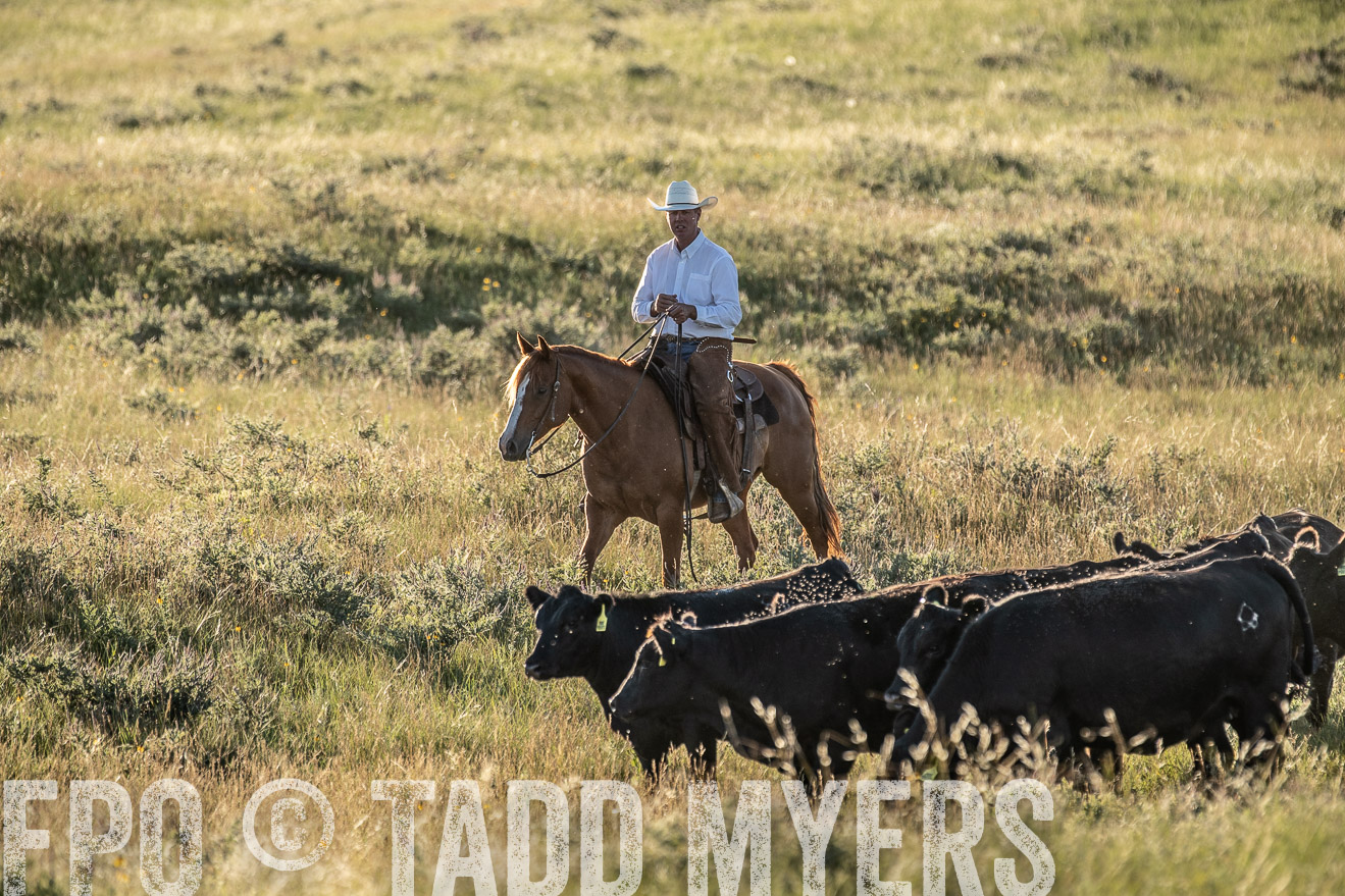PP_TuckerRanch_NE_July2019-7463