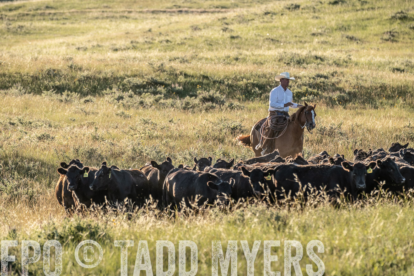 PP_TuckerRanch_NE_July2019-7477