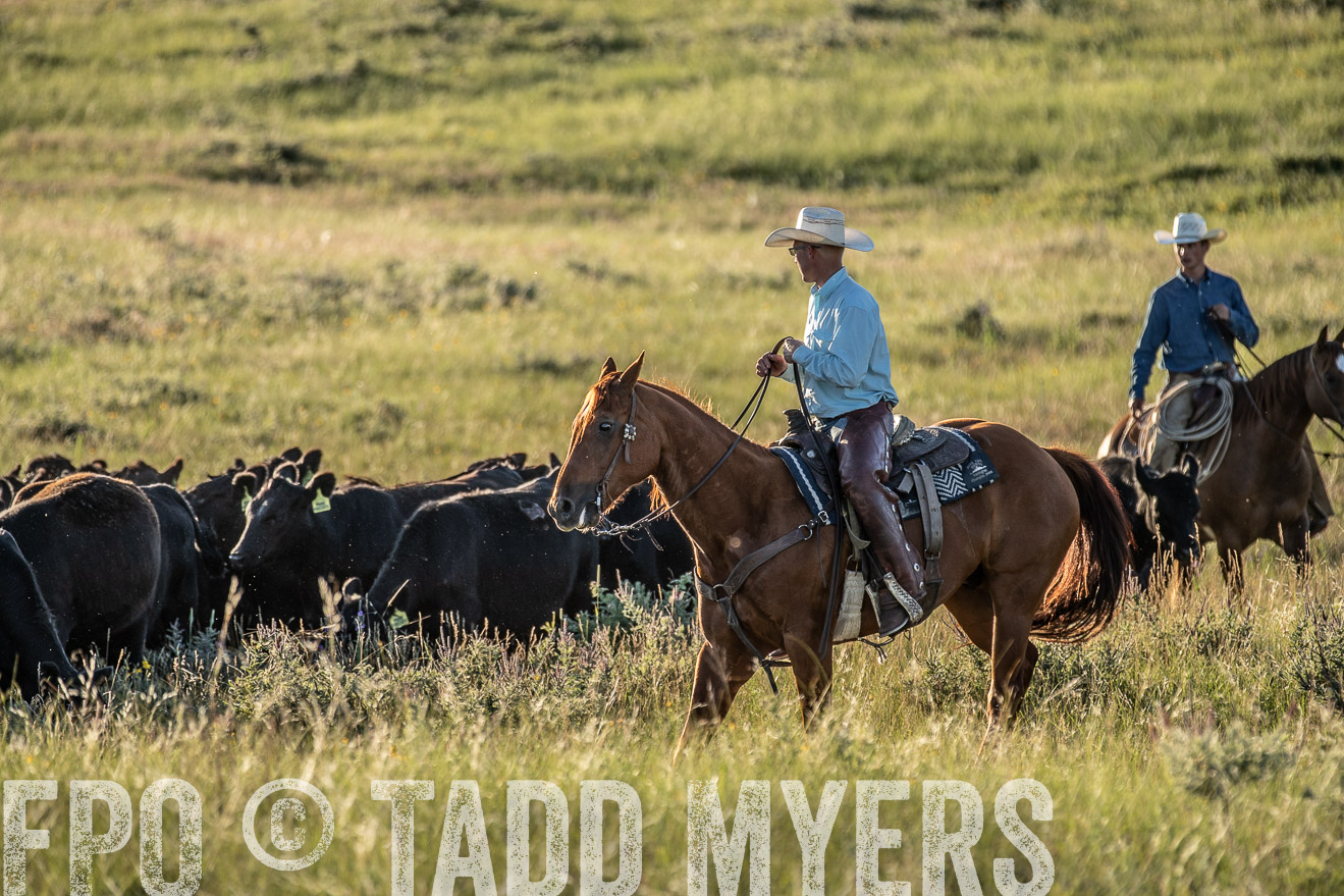PP_TuckerRanch_NE_July2019-7484