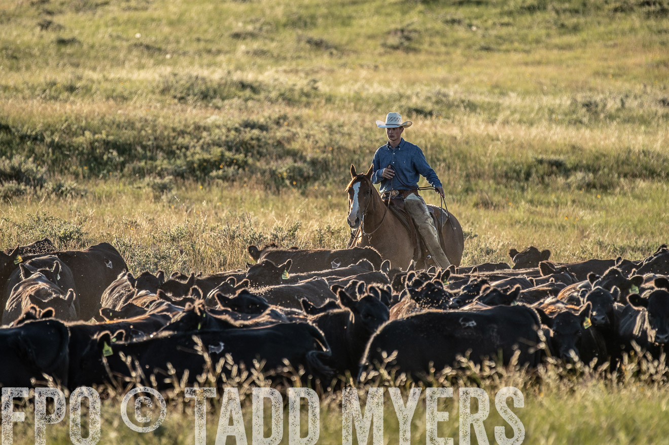 PP_TuckerRanch_NE_July2019-7506