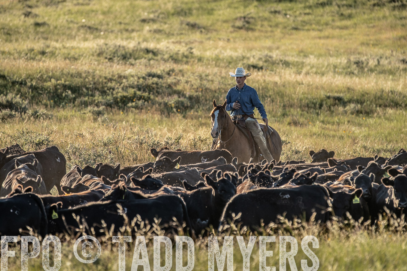 PP_TuckerRanch_NE_July2019-7507