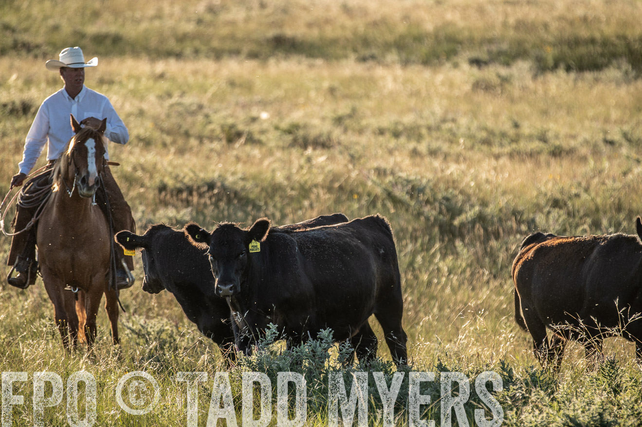 PP_TuckerRanch_NE_July2019-7530