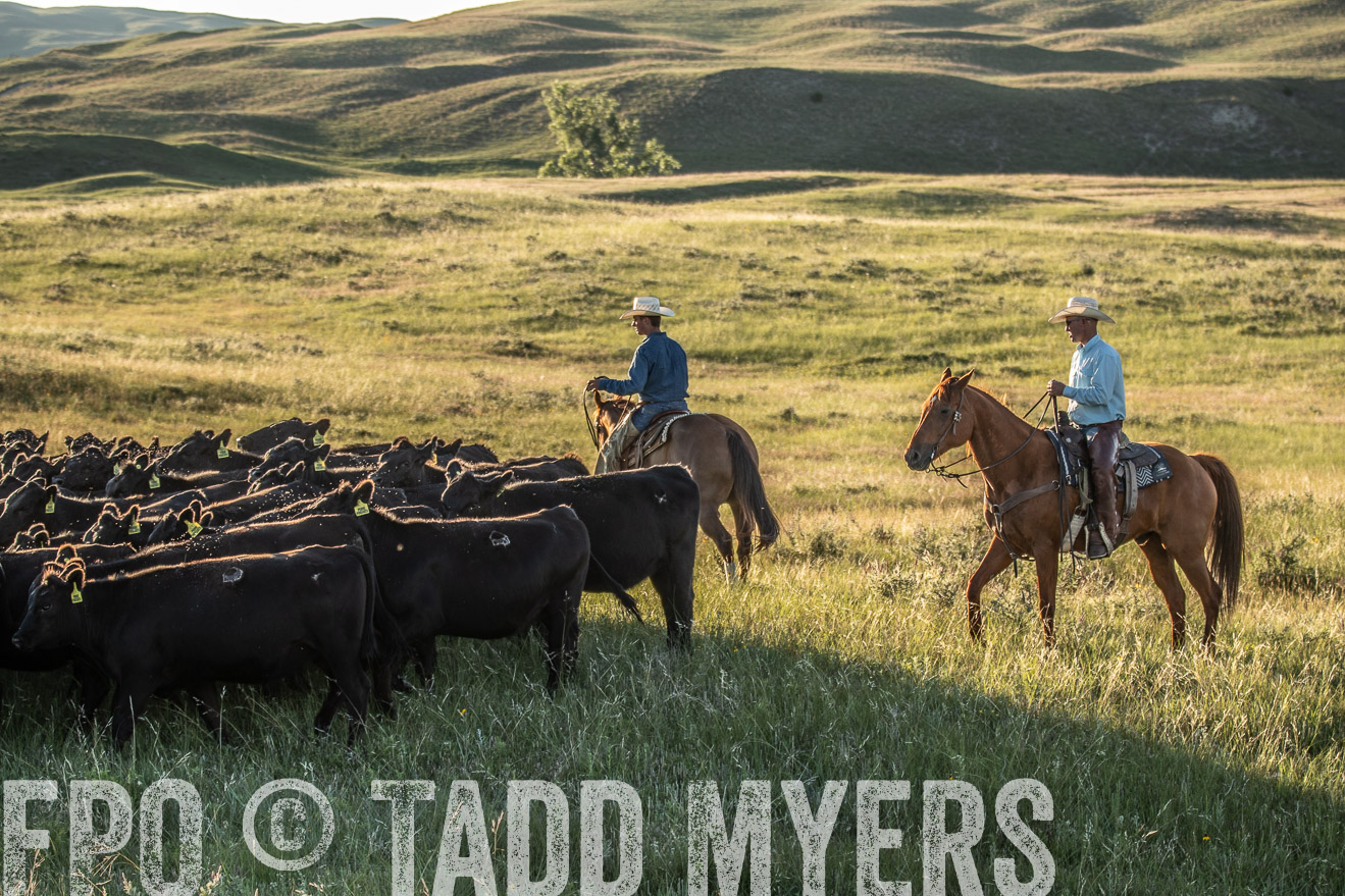 PP_TuckerRanch_NE_July2019-7569