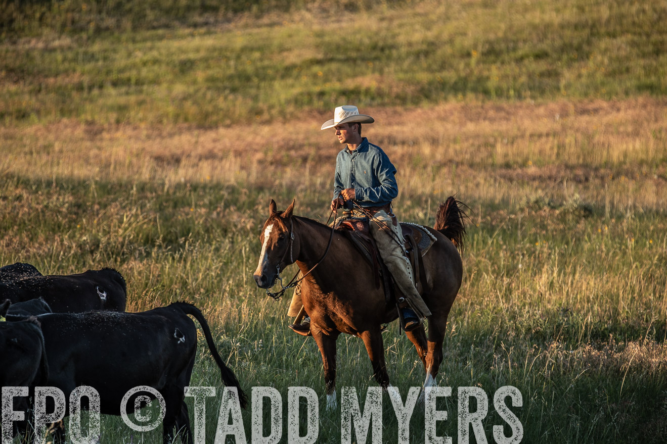 PP_TuckerRanch_NE_July2019-7590