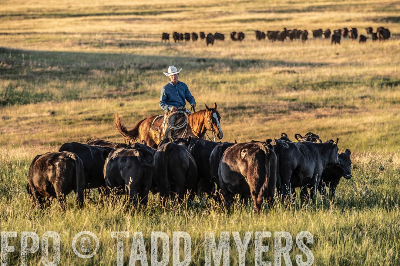 PP_TuckerRanch_NE_July2019-7660-1