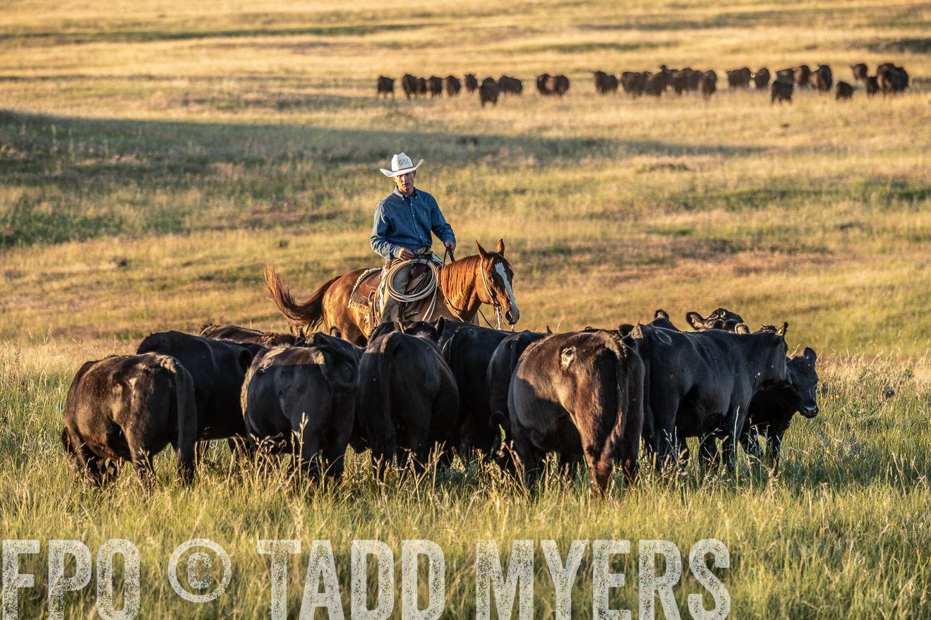 PP_TuckerRanch_NE_July2019-7660