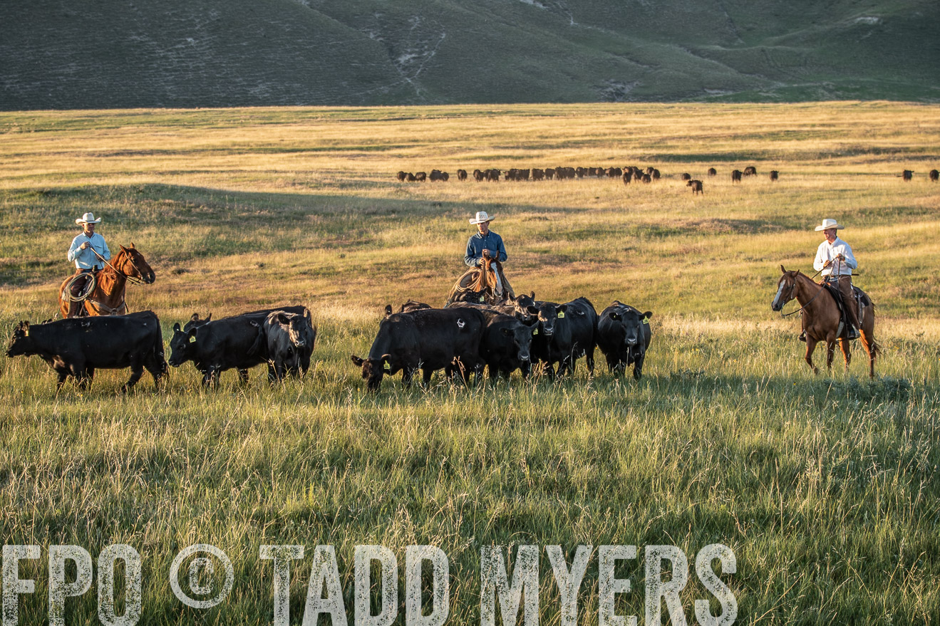 PP_TuckerRanch_NE_July2019-7671