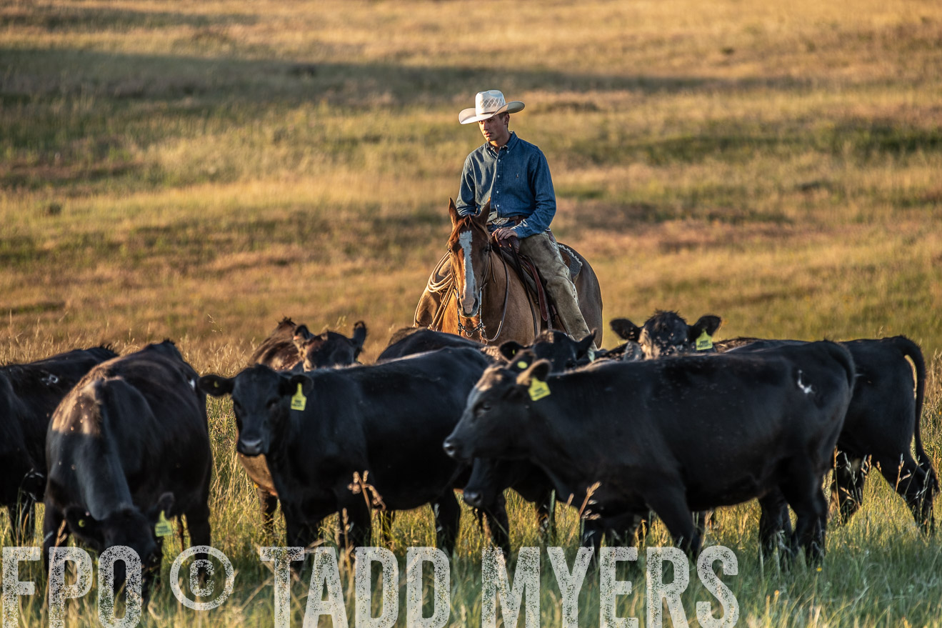 PP_TuckerRanch_NE_July2019-7675