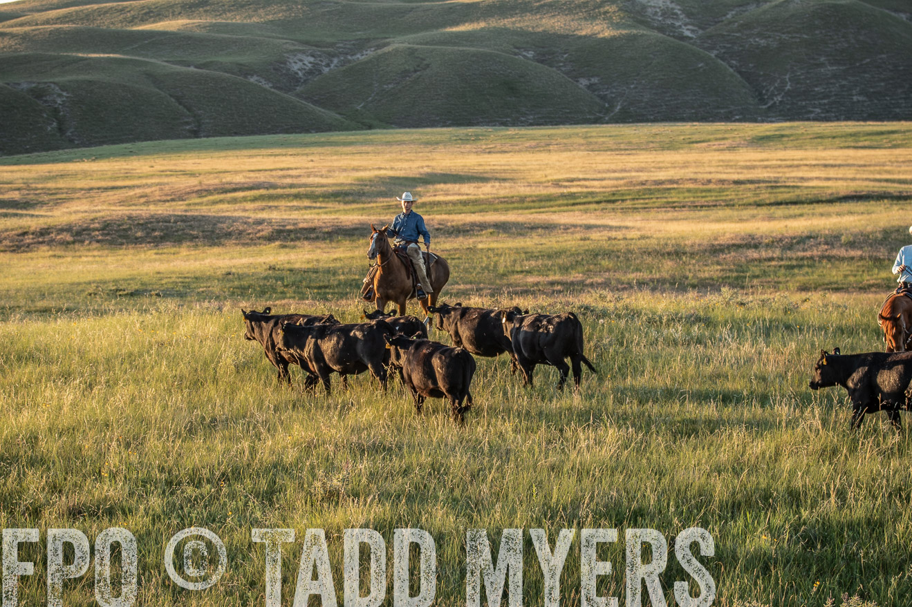 PP_TuckerRanch_NE_July2019-7700