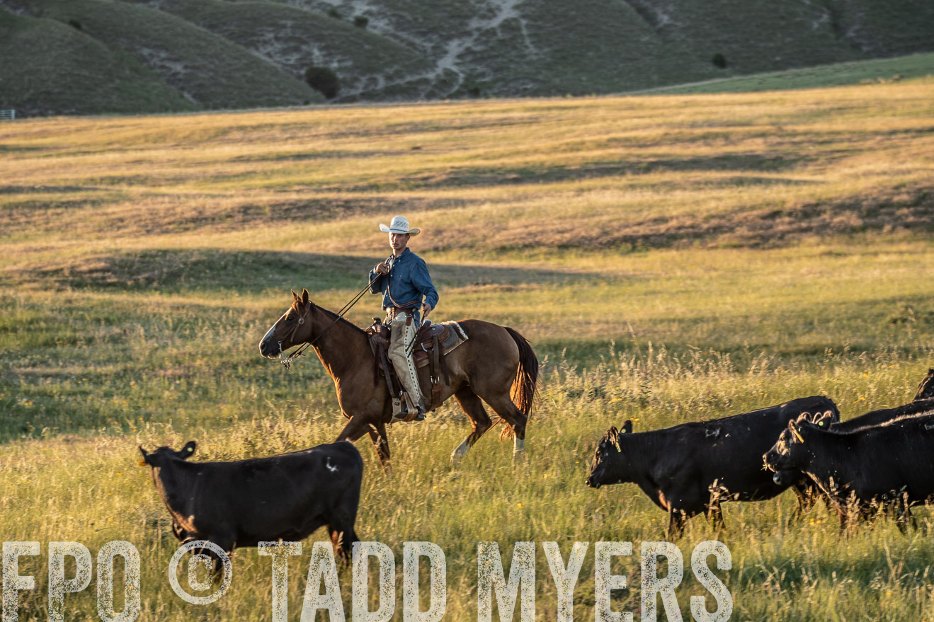 PP_TuckerRanch_NE_July2019-7704