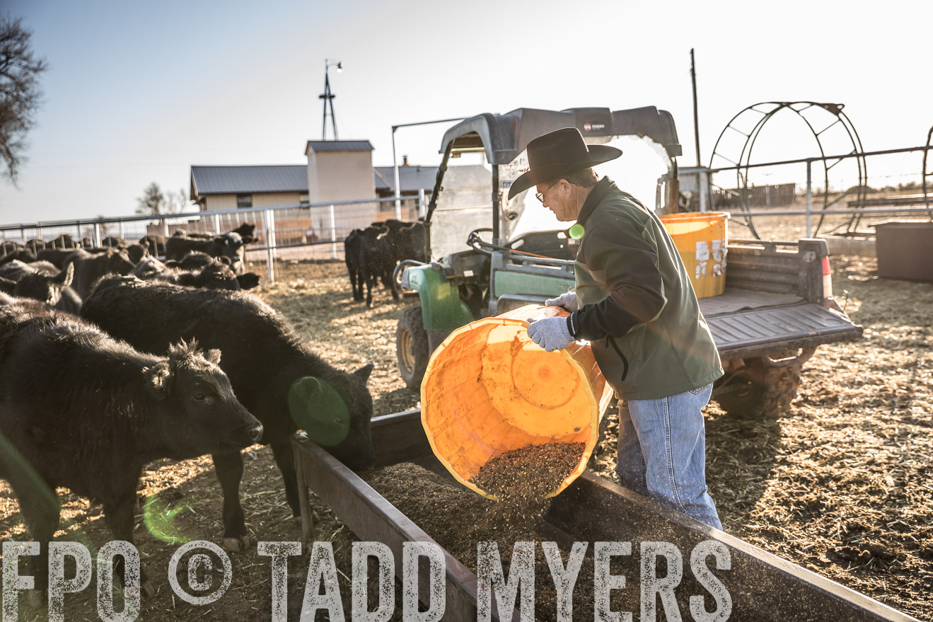 TMyers_WardRanch_NM_Dec2019-43112