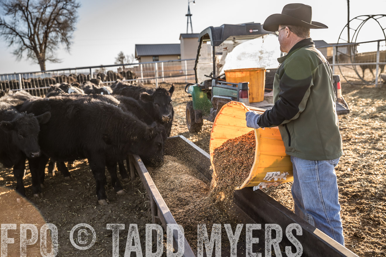  TMyers_WardRanch_NM_Dec2019-43119