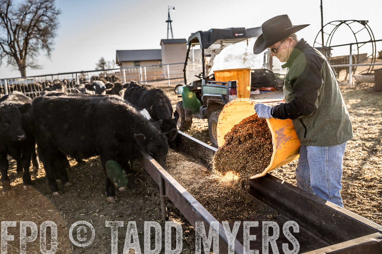  TMyers_WardRanch_NM_Dec2019-43122