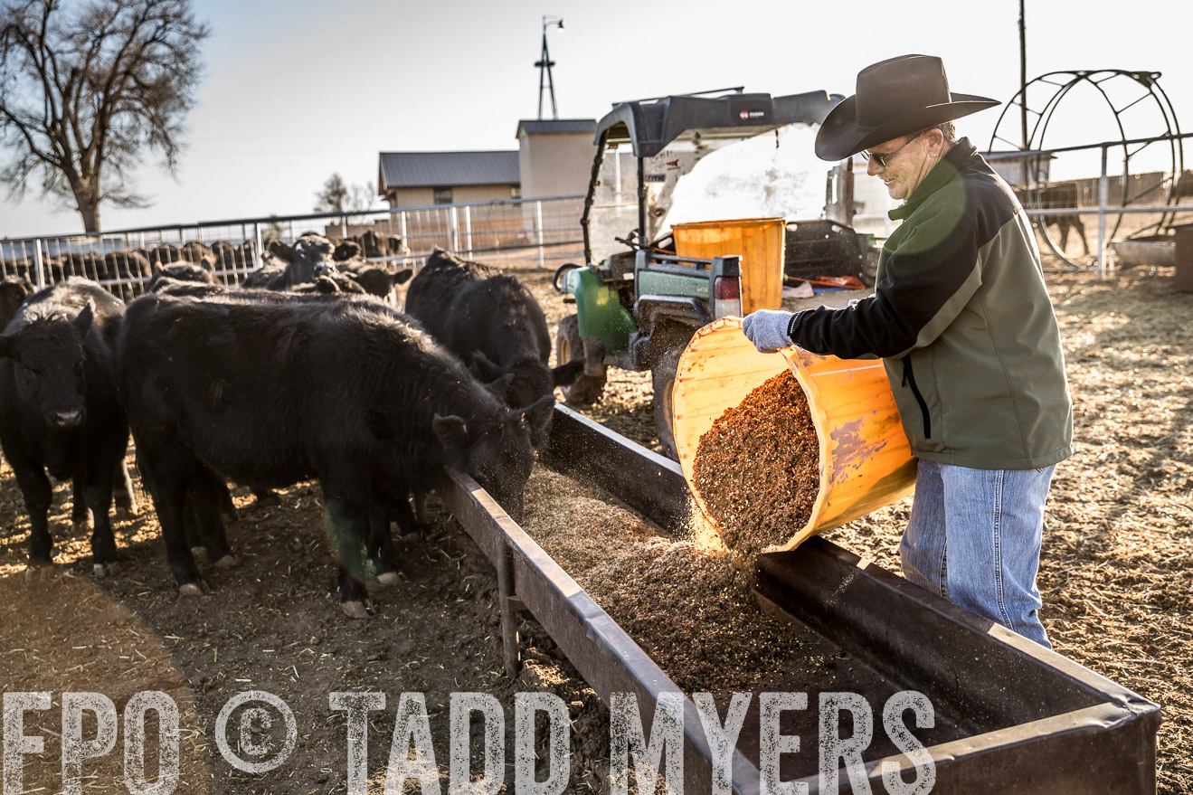  TMyers_WardRanch_NM_Dec2019-43124