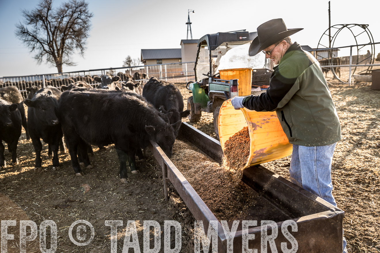  TMyers_WardRanch_NM_Dec2019-43126