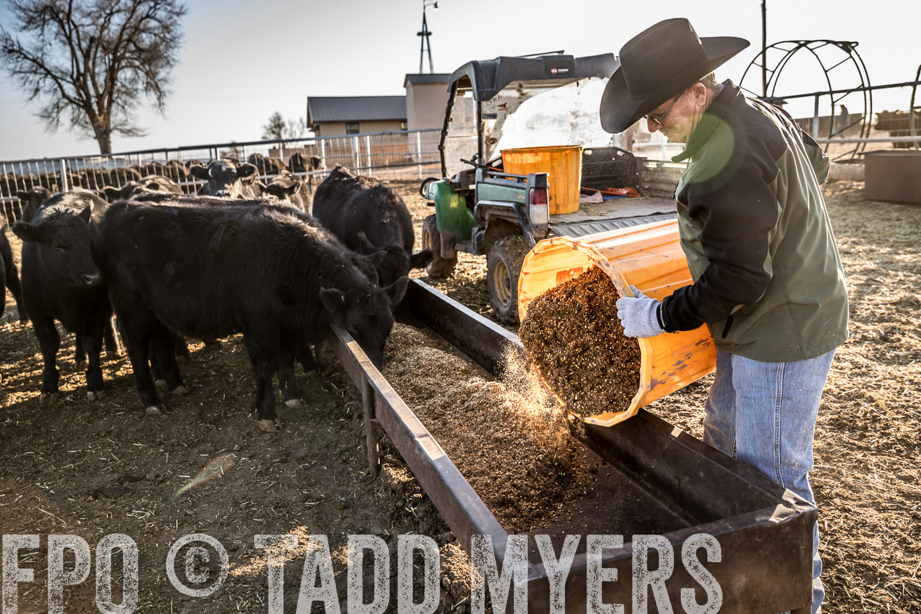  TMyers_WardRanch_NM_Dec2019-43127