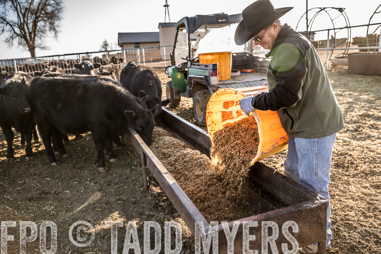  TMyers_WardRanch_NM_Dec2019-43128