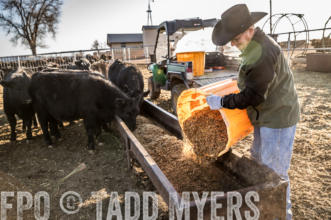  TMyers_WardRanch_NM_Dec2019-43129