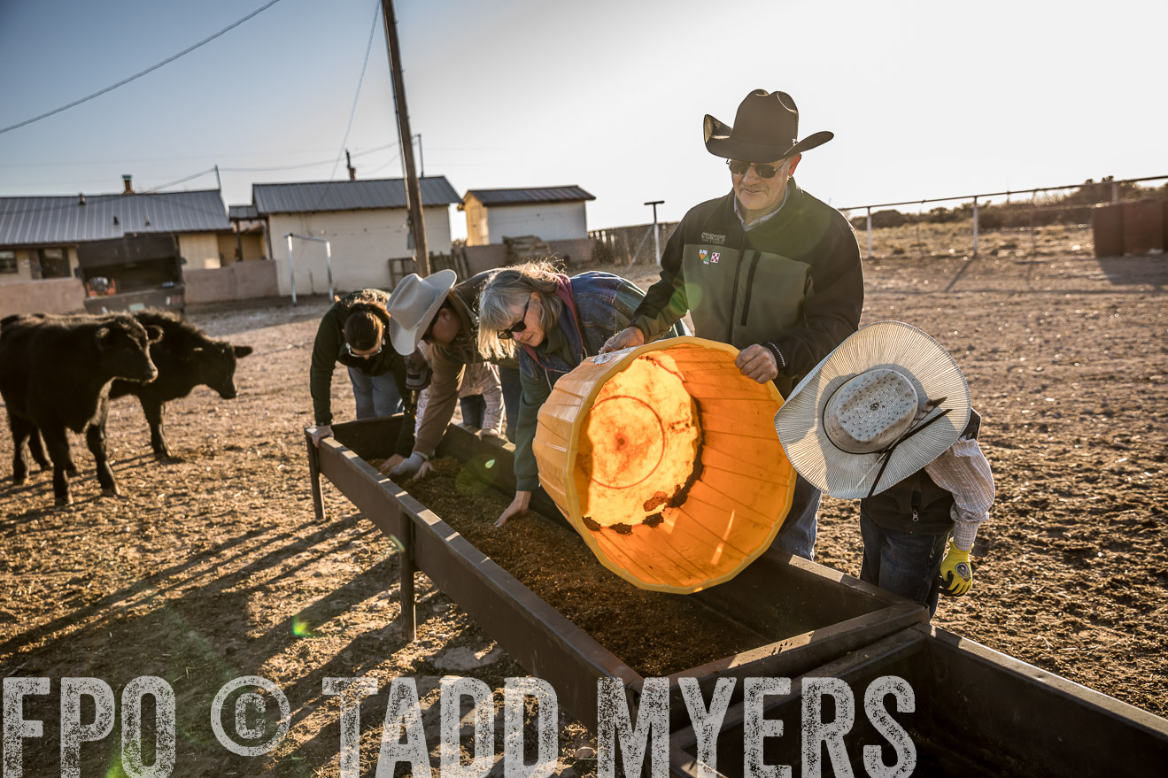  TMyers_WardRanch_NM_Dec2019-43184