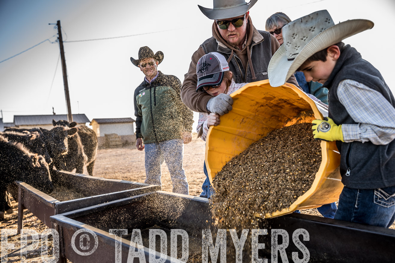  TMyers_WardRanch_NM_Dec2019-43215