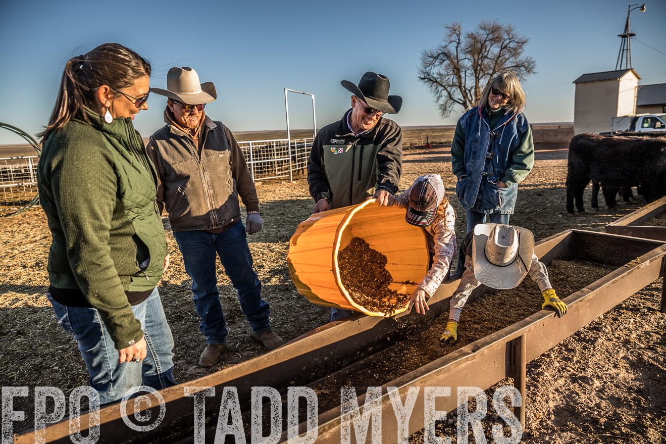  TMyers_WardRanch_NM_Dec2019-43292