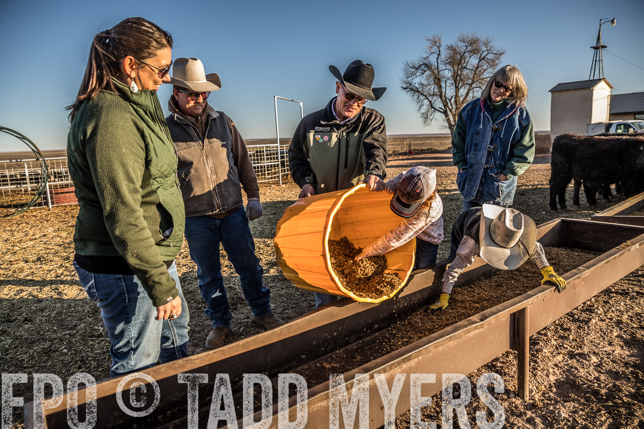  TMyers_WardRanch_NM_Dec2019-43296
