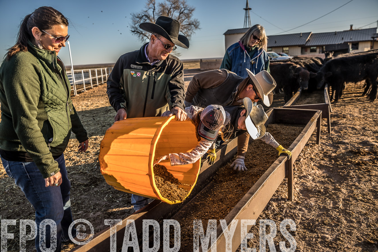  TMyers_WardRanch_NM_Dec2019-43307