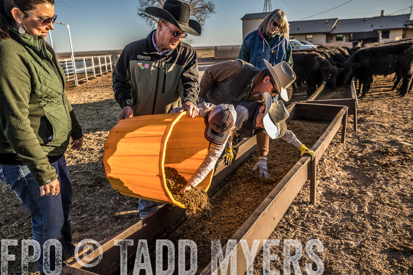  TMyers_WardRanch_NM_Dec2019-43308