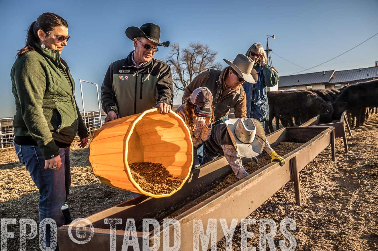  TMyers_WardRanch_NM_Dec2019-43313