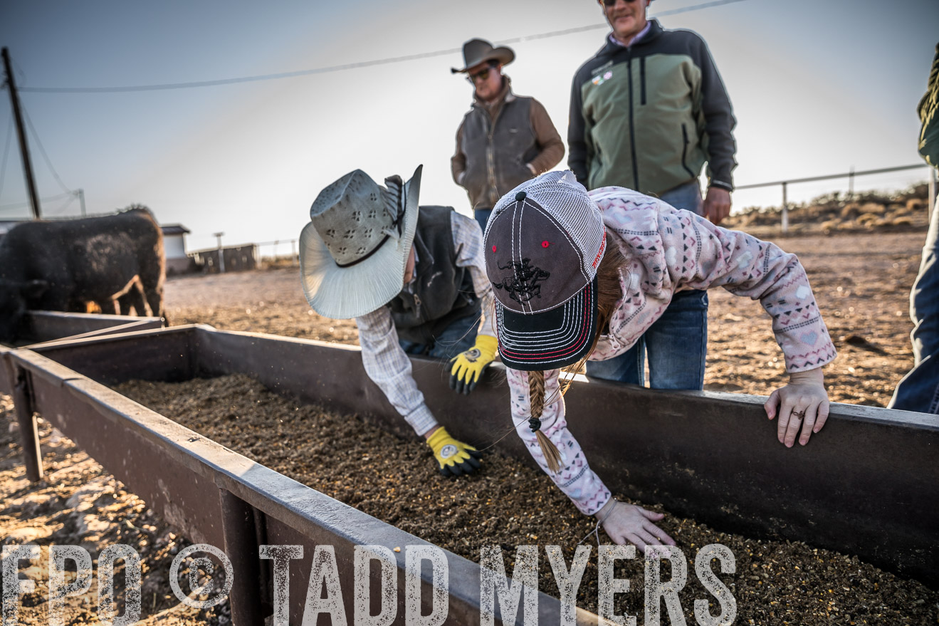  TMyers_WardRanch_NM_Dec2019-43351