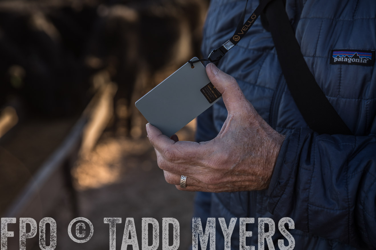  TMyers_WardRanch_NM_Dec2019-43465