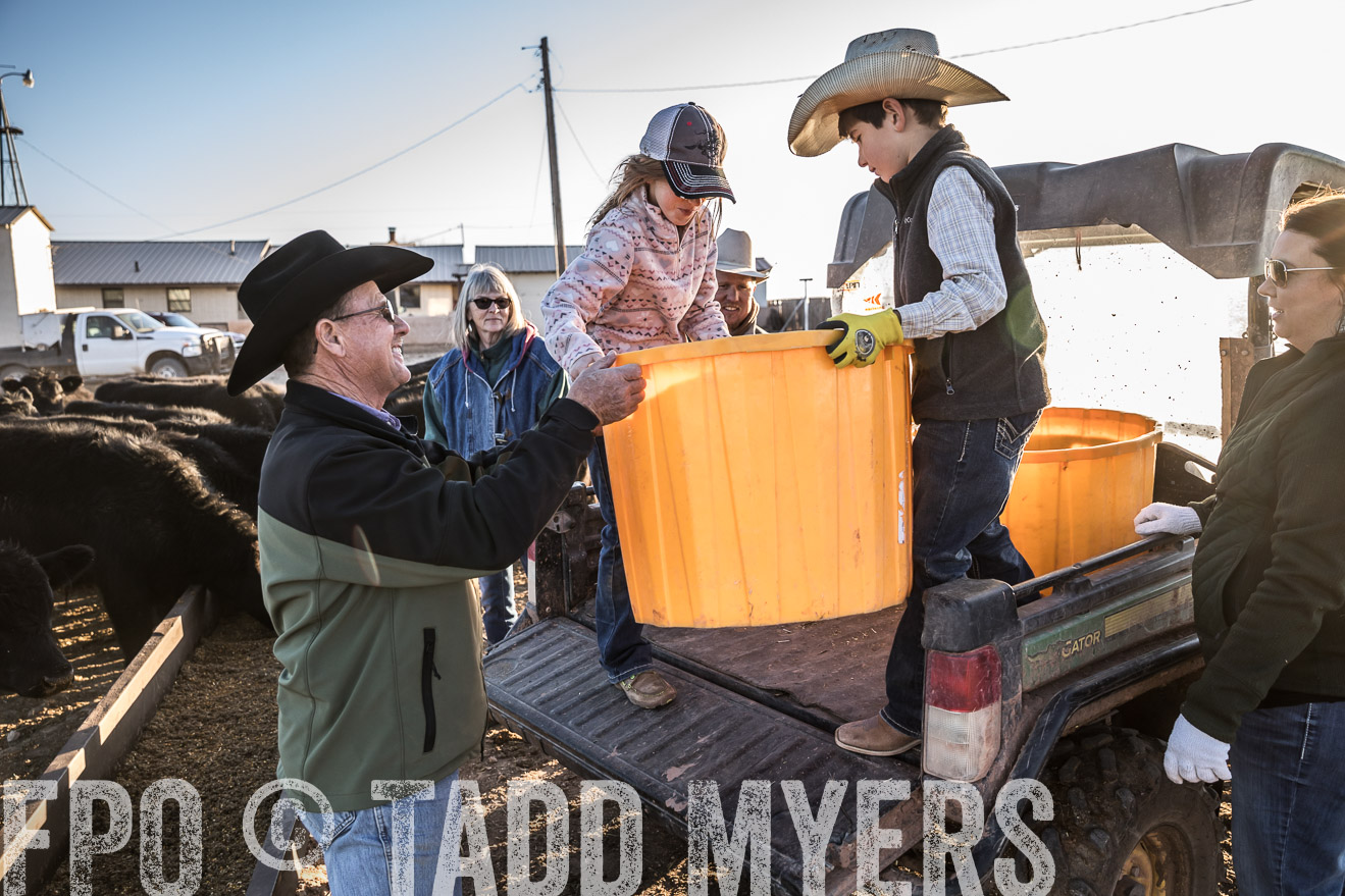  TMyers_WardRanch_NM_Dec2019-43523
