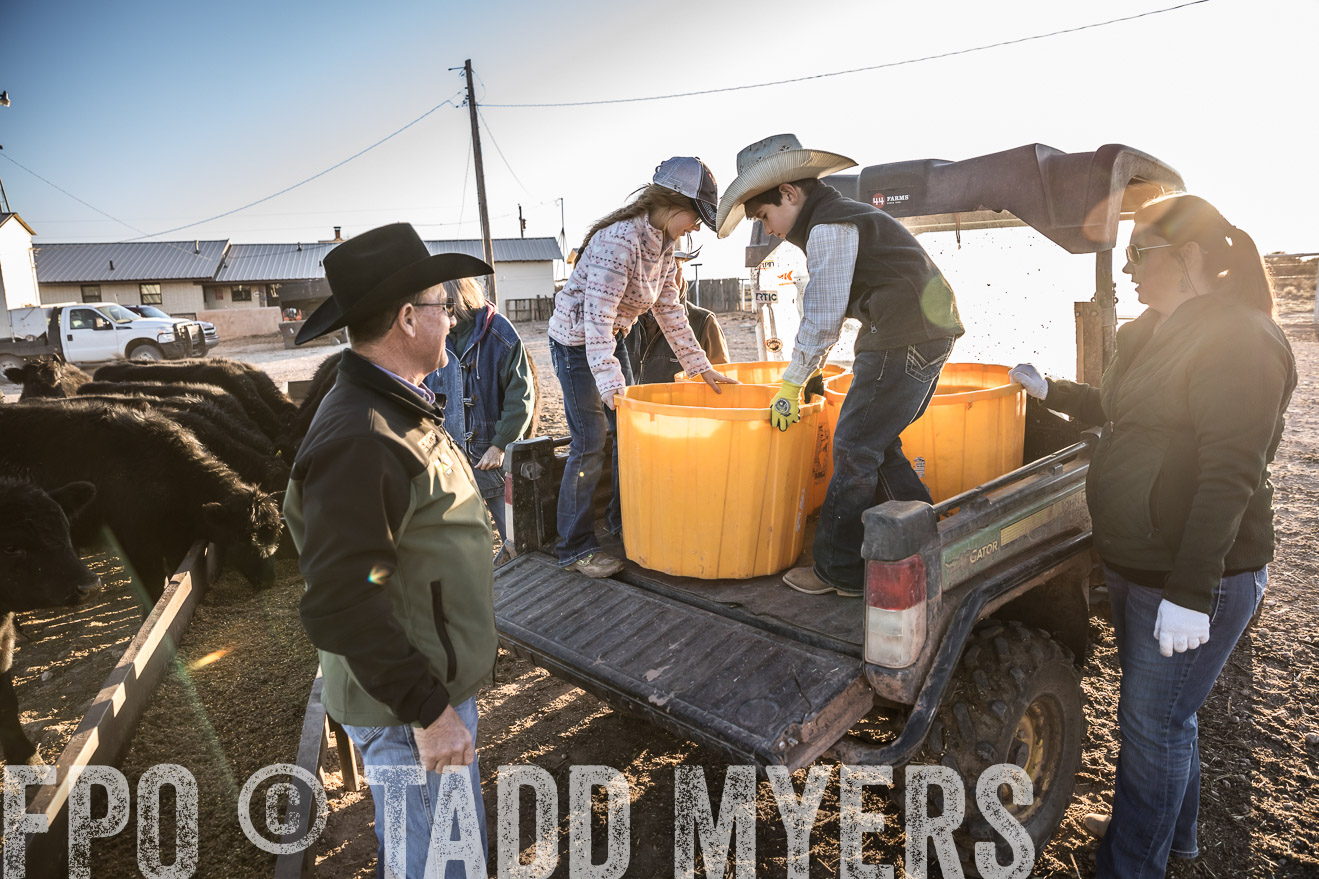  TMyers_WardRanch_NM_Dec2019-43525