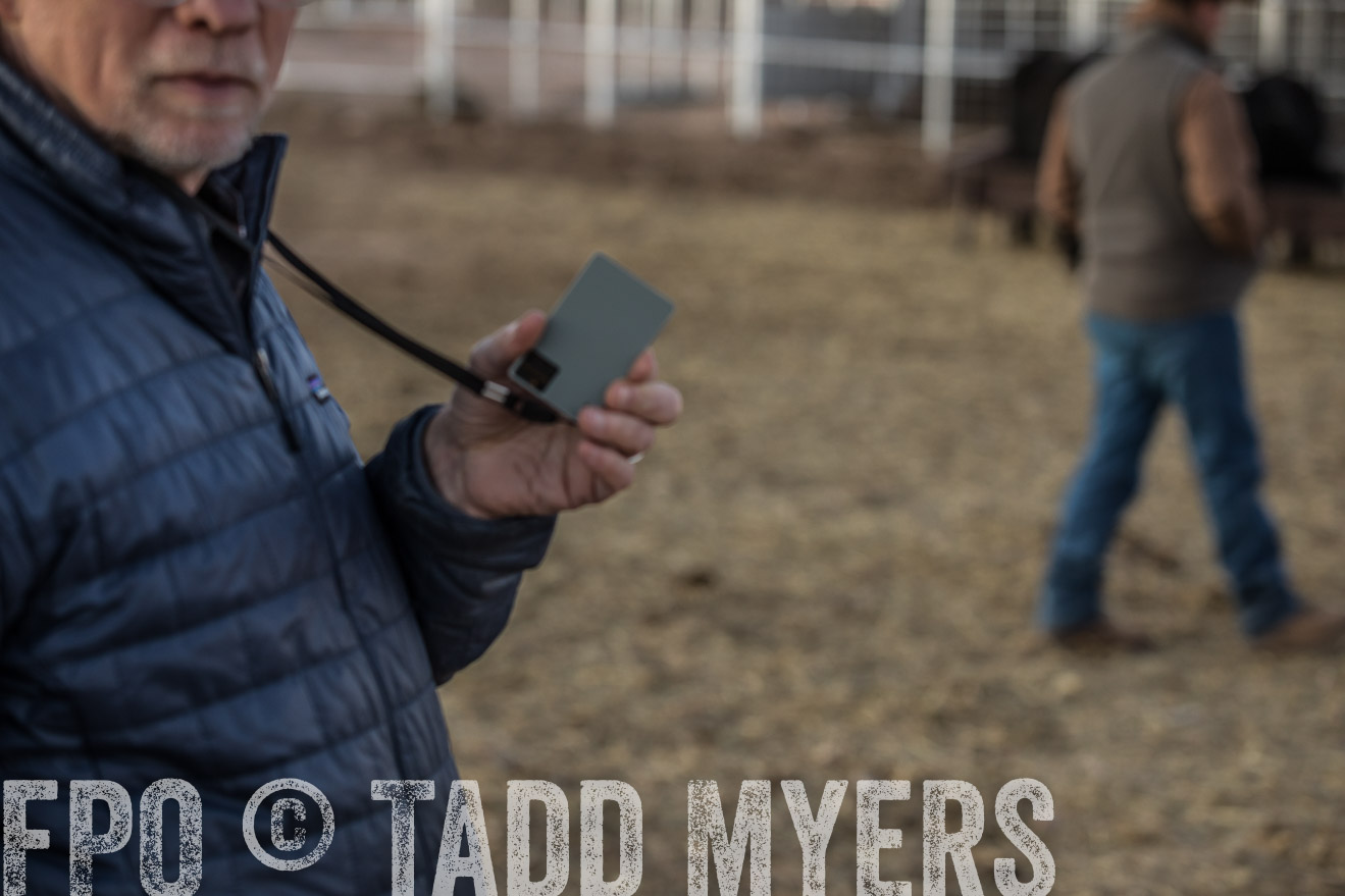  TMyers_WardRanch_NM_Dec2019-43633