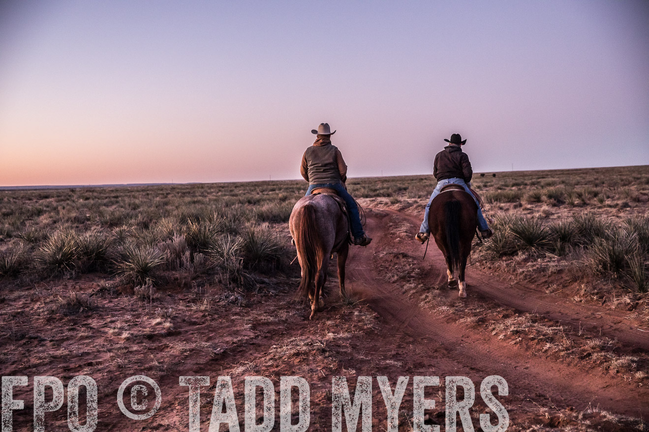  TMyers_WardRanch_NM_Dec2019-43819