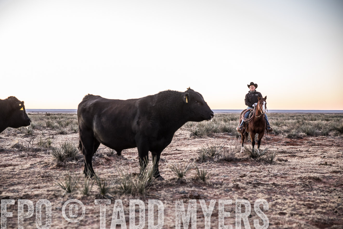  TMyers_WardRanch_NM_Dec2019-44044