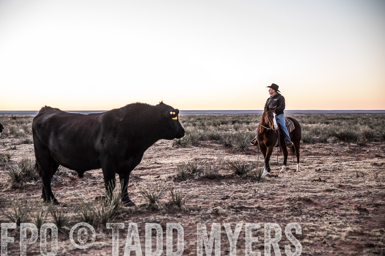  TMyers_WardRanch_NM_Dec2019-44058