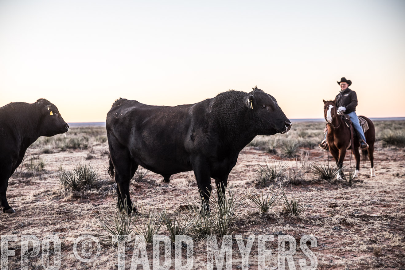  TMyers_WardRanch_NM_Dec2019-44063