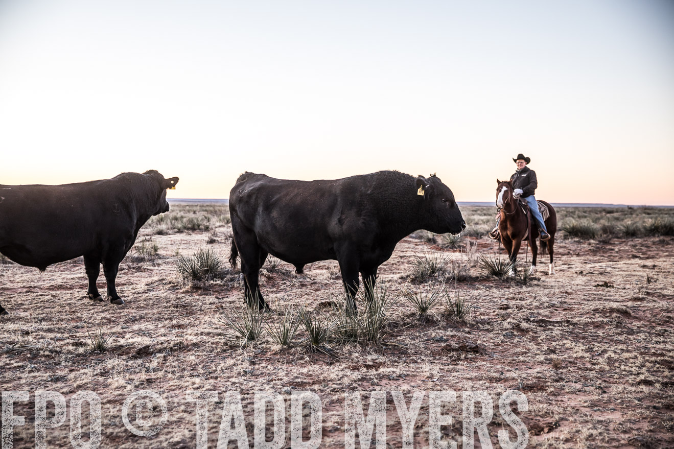  TMyers_WardRanch_NM_Dec2019-44066
